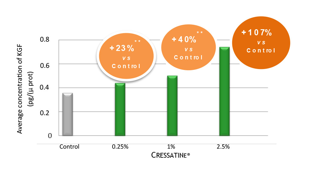 INDUCTION OF KGFs PRODUCTION