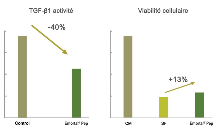 Efficacité à la Cellule de la Papille Dermique (in vitro)